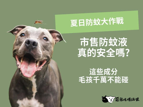 夏日防蚊大作戰|市售防蚊液真的安全嗎?|千萬不要誤傷了家中毛孩