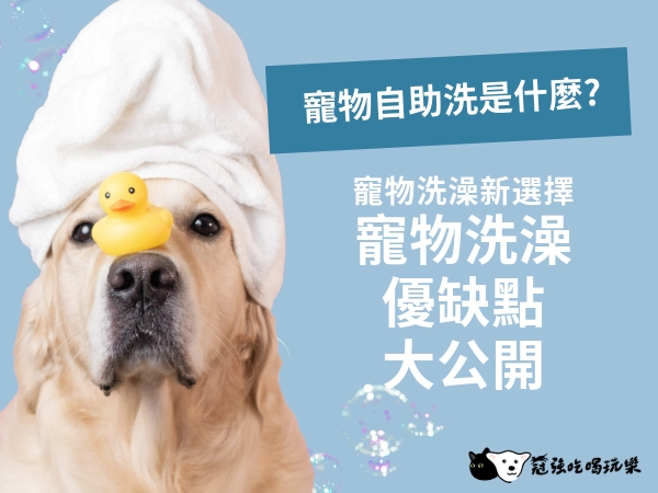 2024 寵物洗澡新議題|寵物自助洗?全自動將完全取代人力?幫寵物洗澡不再是難事