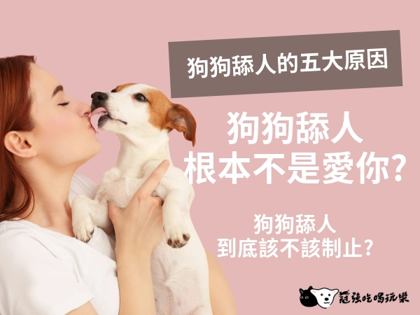 狗狗舔人五大原因,狗狗舔人根本不是愛你?該不該制止狗狗舔人?