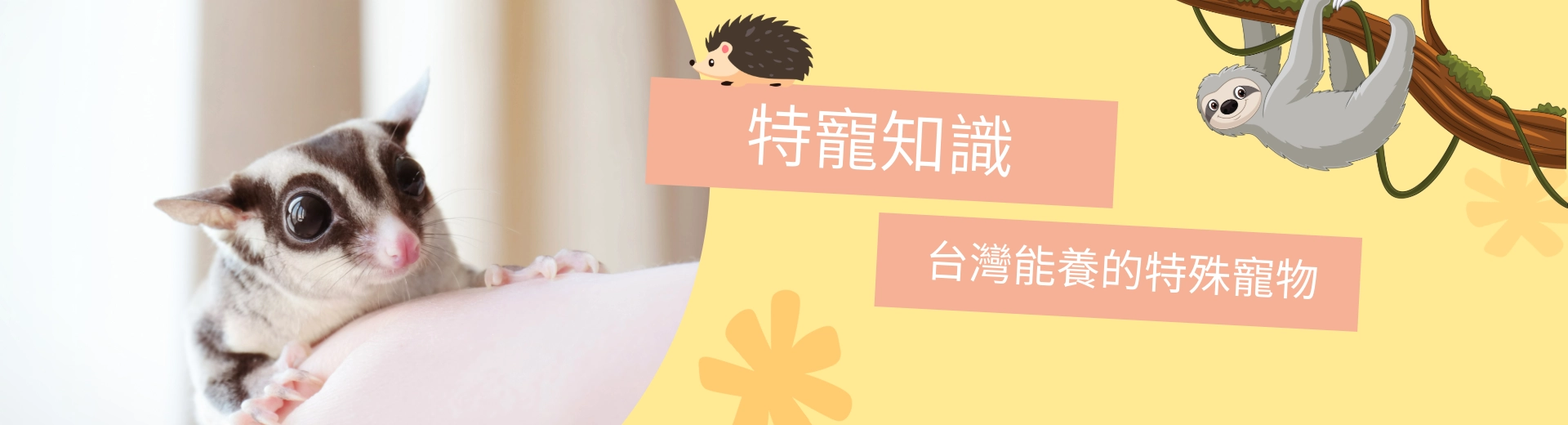 特寵知識
