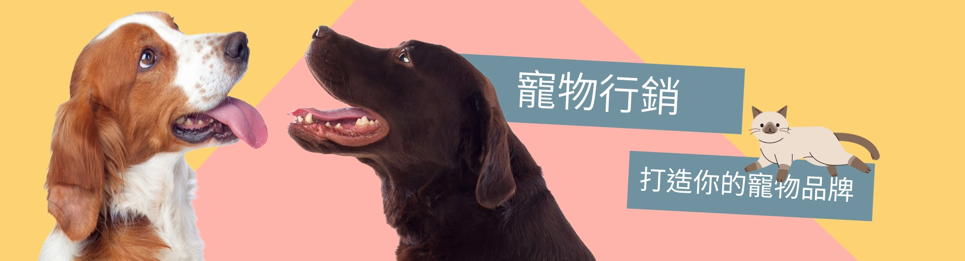 寵物行銷