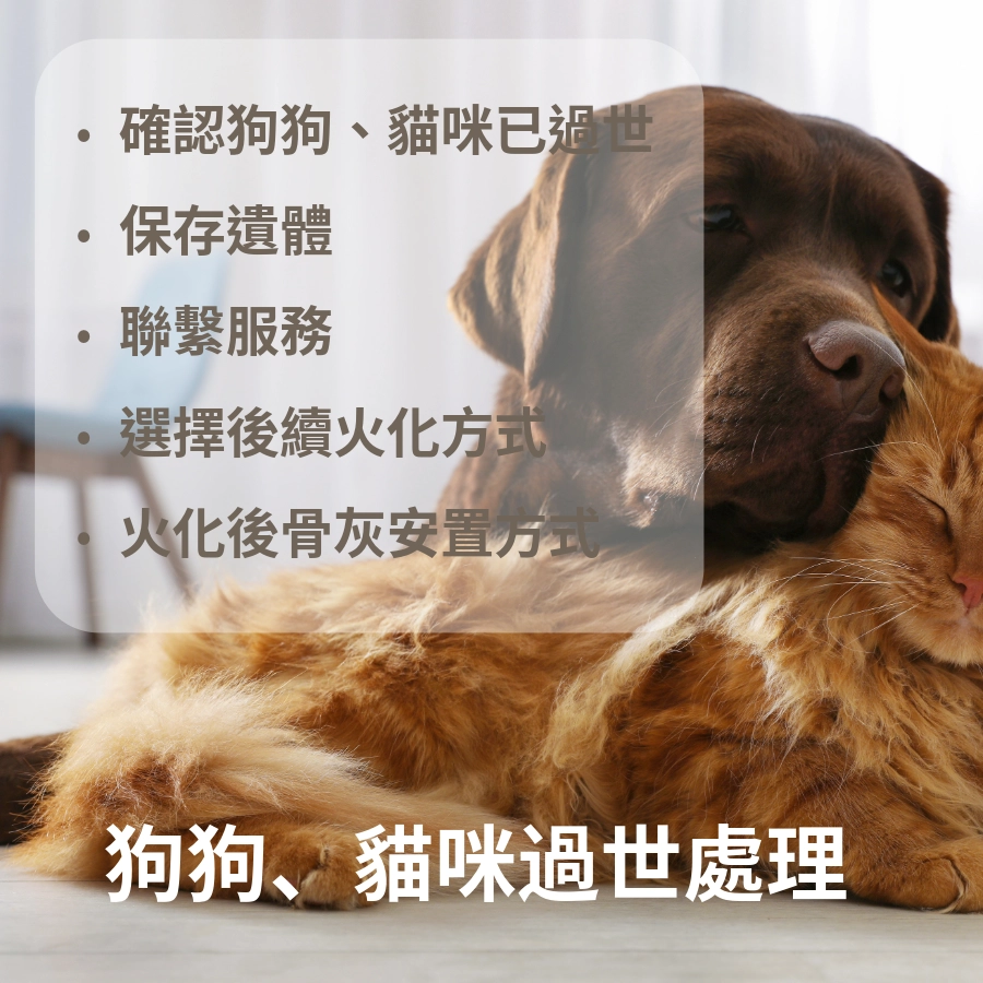 狗狗、貓咪過世處理
