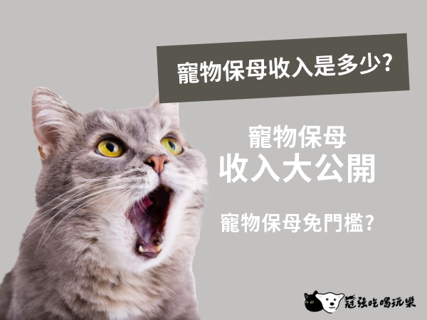 【職人】寵物保姆必修課：寵物保姆收入是多少？寵物保姆證照一定要嗎？