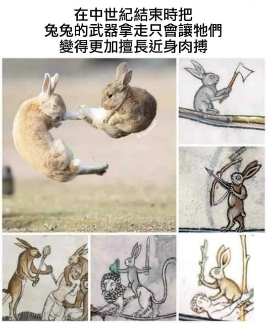 一張meme，趣味性地調侃古代壁畫中的野兔，指稱古代野兔會用武器，而現代野兔則更擅長肉搏戰，用此讓人會心一笑，並且知道不能隨意招惹野兔