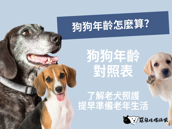 狗的年齡怎麼算？7 歲已經算老犬？狗狗年齡對照表