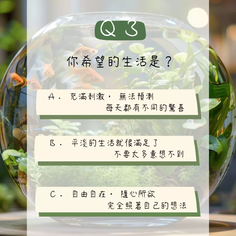 我適合養什麼寵物心理測驗。你希望的生活是？問題選項