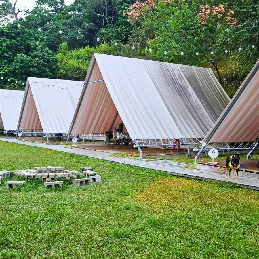 蟬說山中靜靜金雨樹區