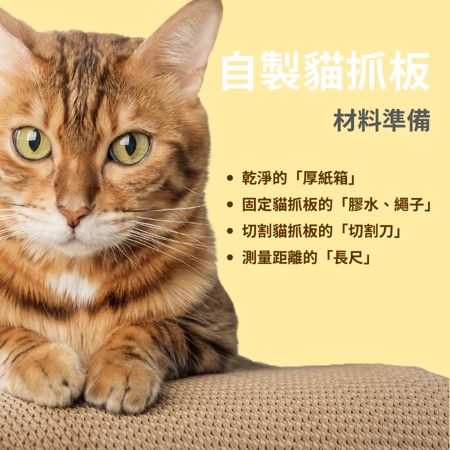 自製貓抓板｜材料準備