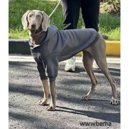 狗狗衣服 大型犬衣服 狗狗衛衣 金毛衣服 拉布拉多衣服 邊牧衣服 杜賓衣服帥氣加絨衛衣 狗狗新年衣服 狗狗冬季保暖衣服