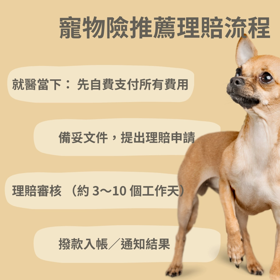 寵物險推薦理賠流程
