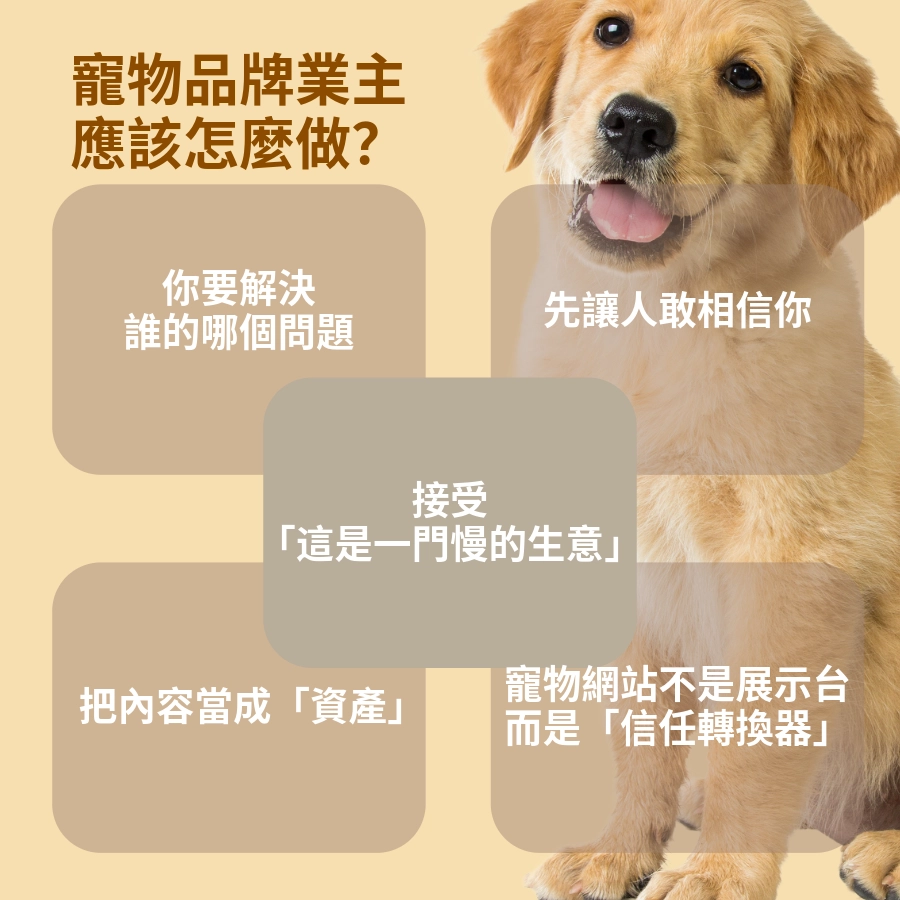 寵物品牌業主應該怎麼做？