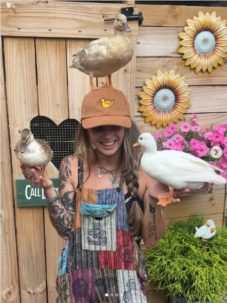 柯爾鴨喜歡主人