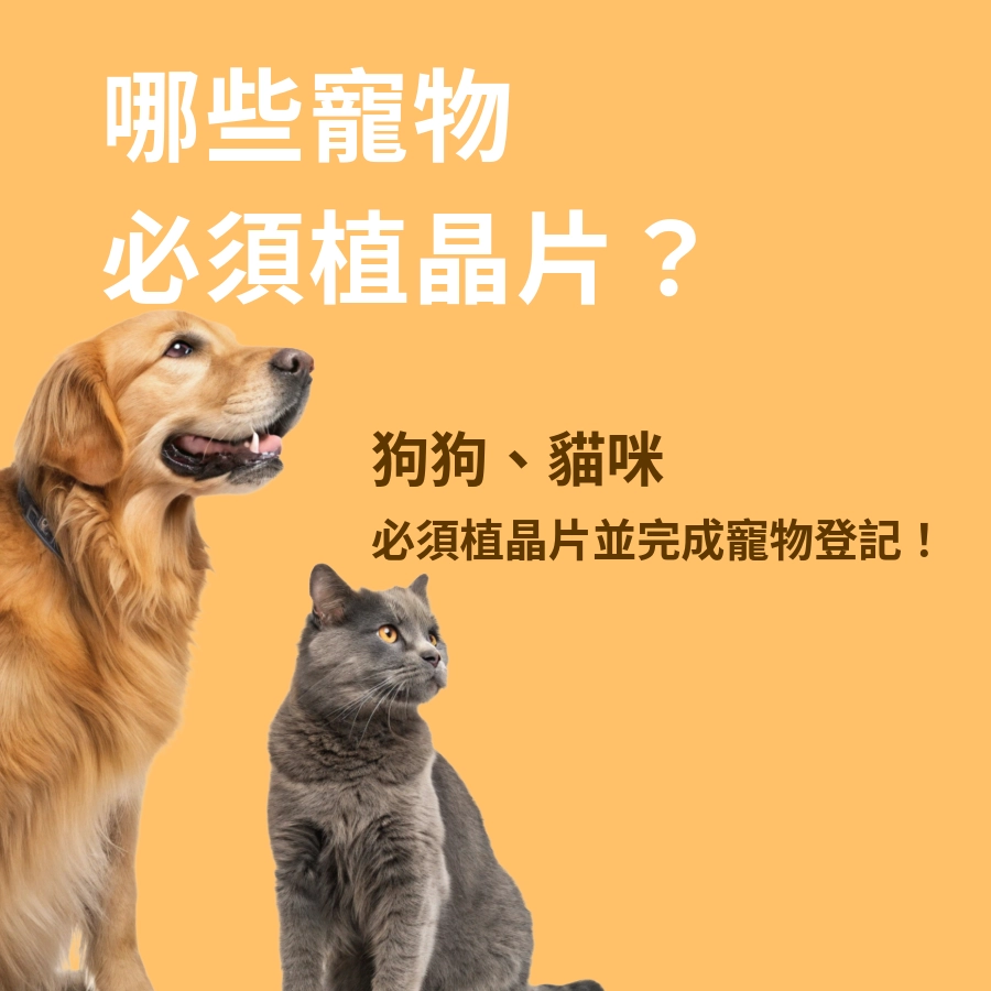 寵物晶片與法規:哪些寵物必須植晶片?