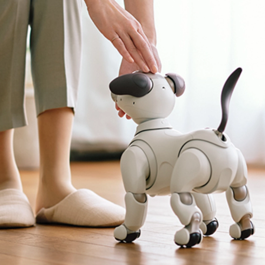 Aibo 喜歡被撫摸