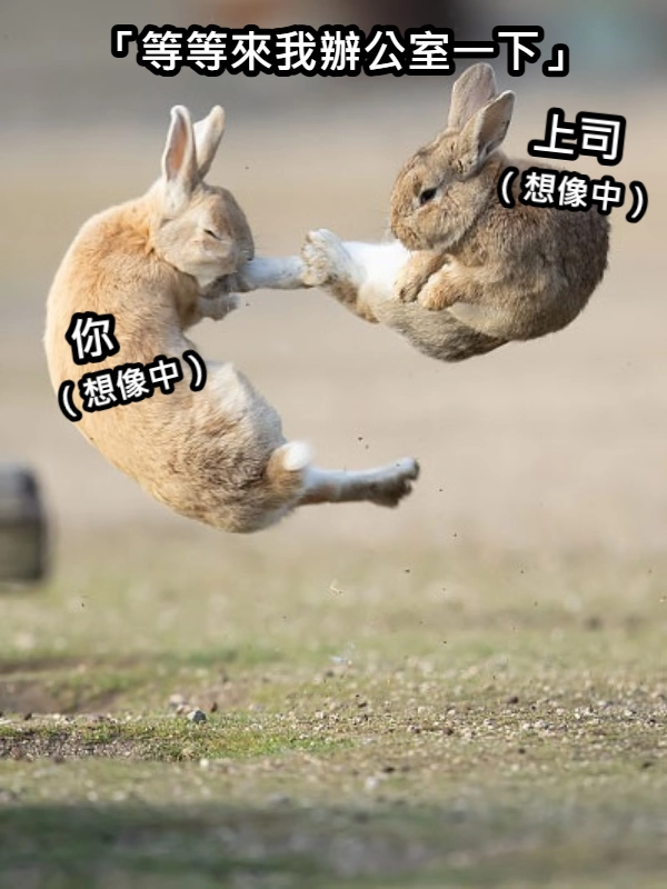 一張meme,一隻兔子飛踢另一隻兔子,用以呈現被抓的兔子的緊張,呼籲大家不要擅捕野兔