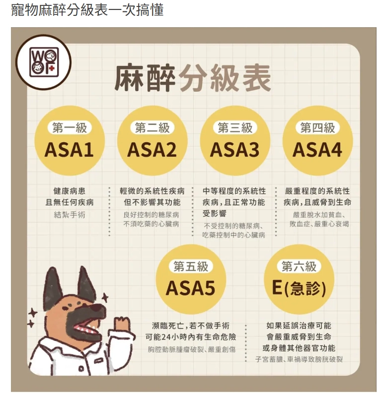 ASA麻醉分級表