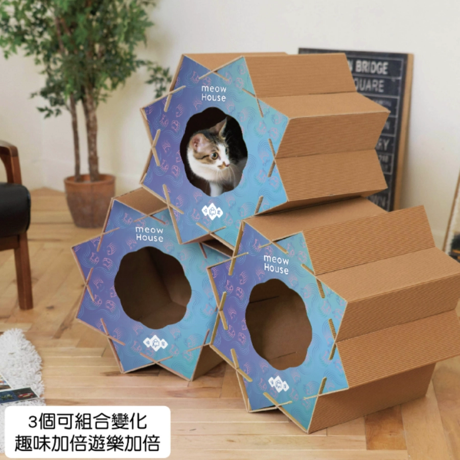 【喵滾滾丸子三兄弟】夜空中最亮的星款