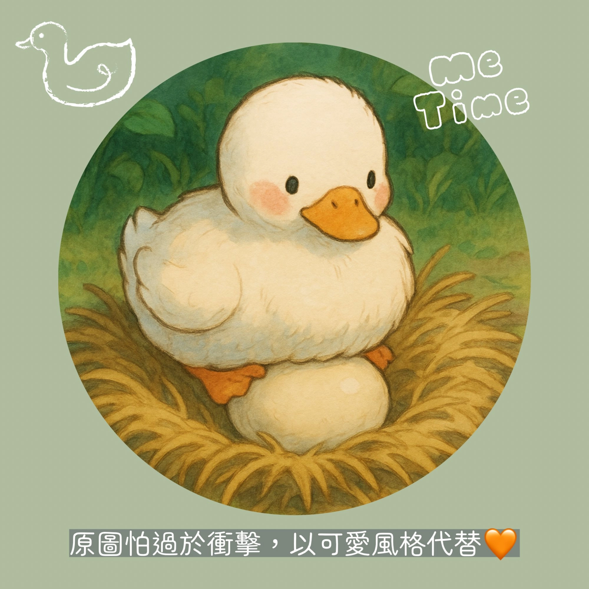 柯爾鴨孵蛋示意圖