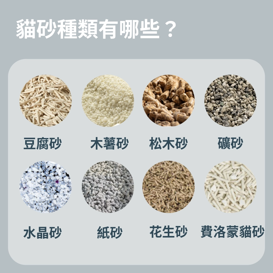 貓砂種類有哪些?