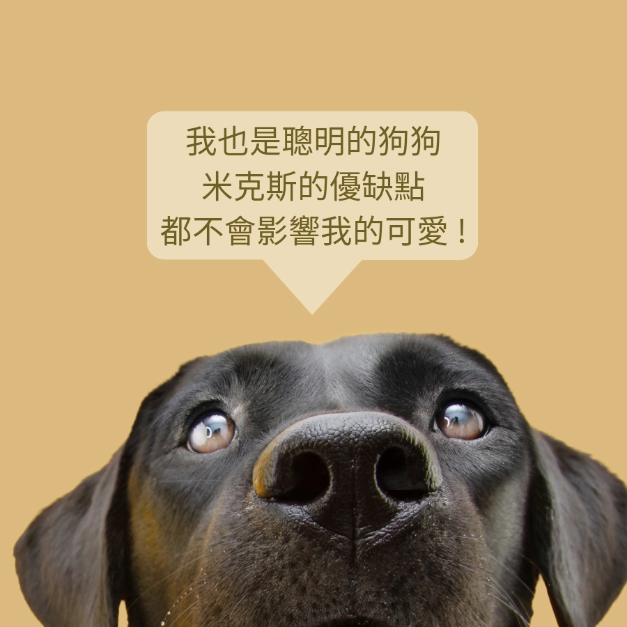 米克斯缺點？米克斯犬智商高嗎？