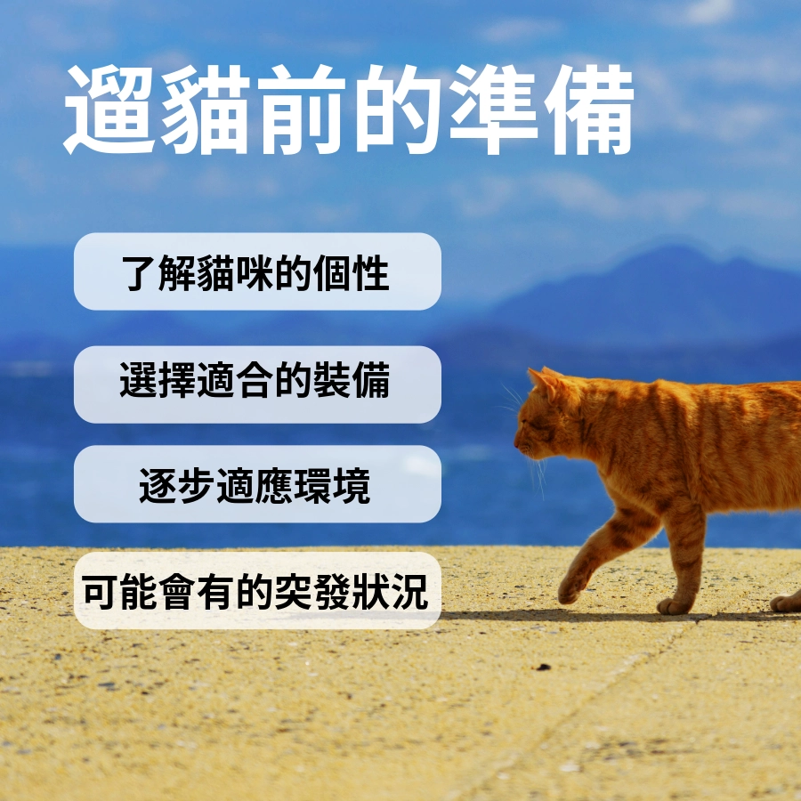 遛貓前的準備