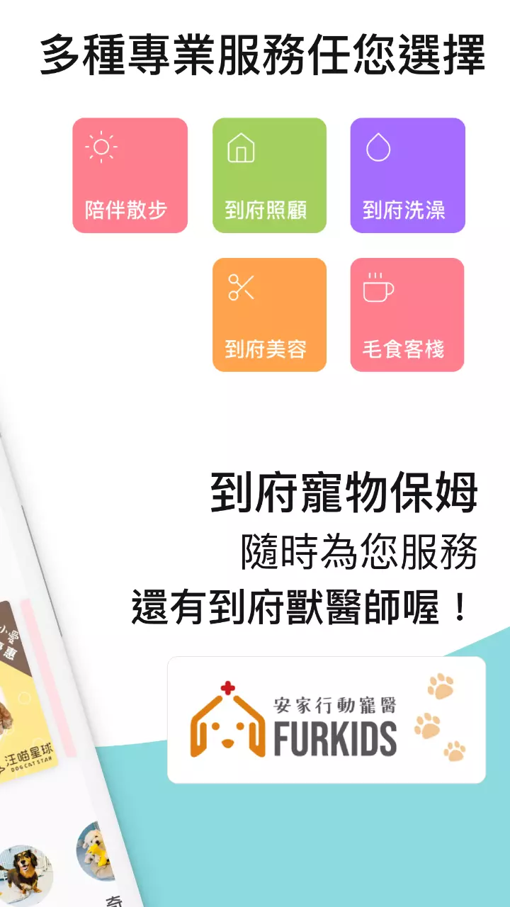 Fluv 毛小愛提供的服務類型