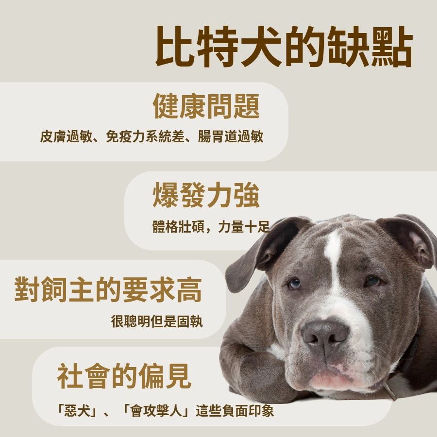比特犬的缺點