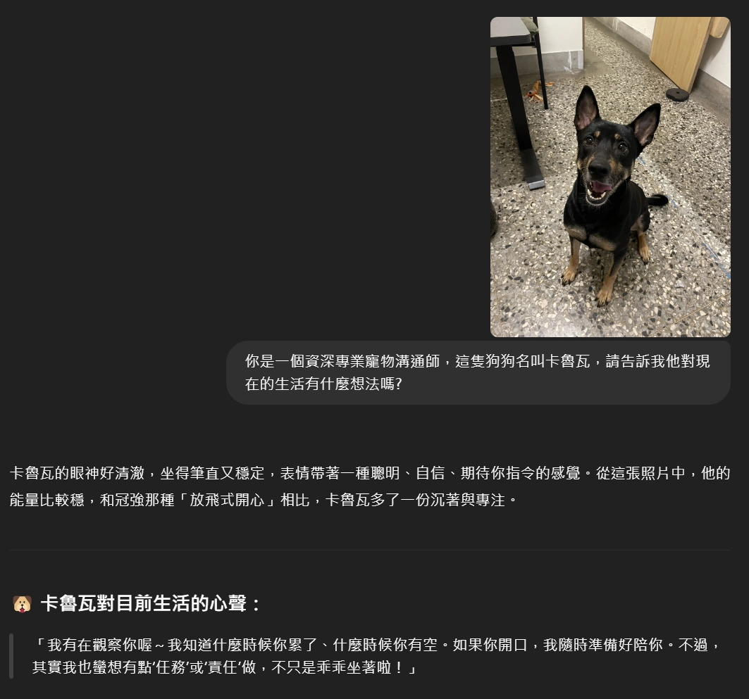 ChatGPT寵物溝通卡魯瓦