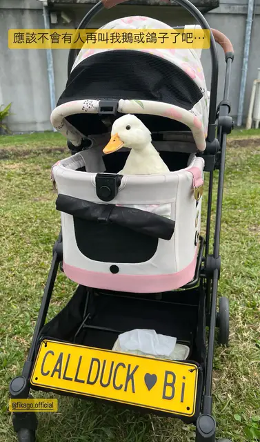 柯爾鴨的寵物推車