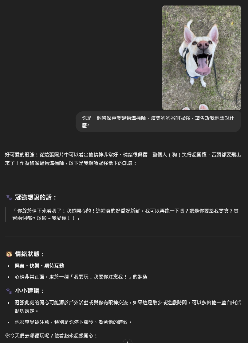 ChatGPT寵物溝通冠強