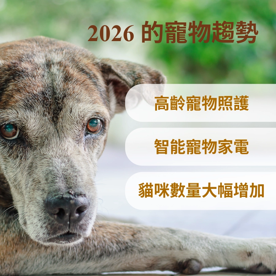 2026 的寵物趨勢