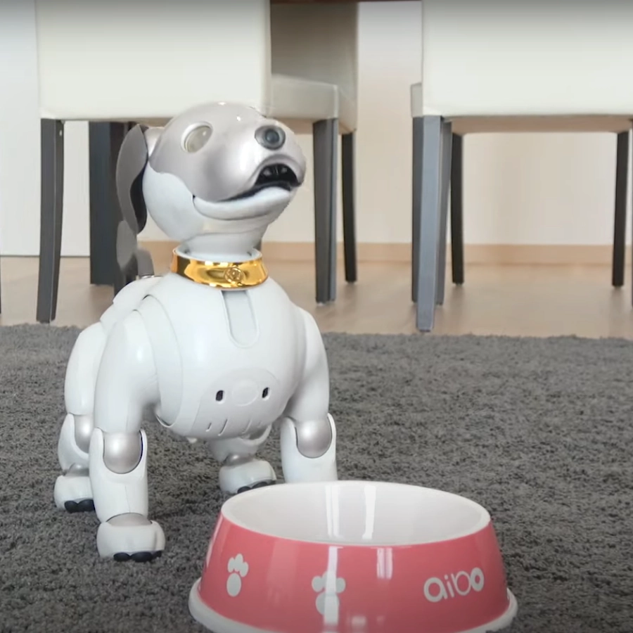 Aibo 需要被餵食