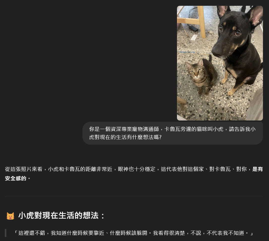 ChatGPT寵物溝通小虎