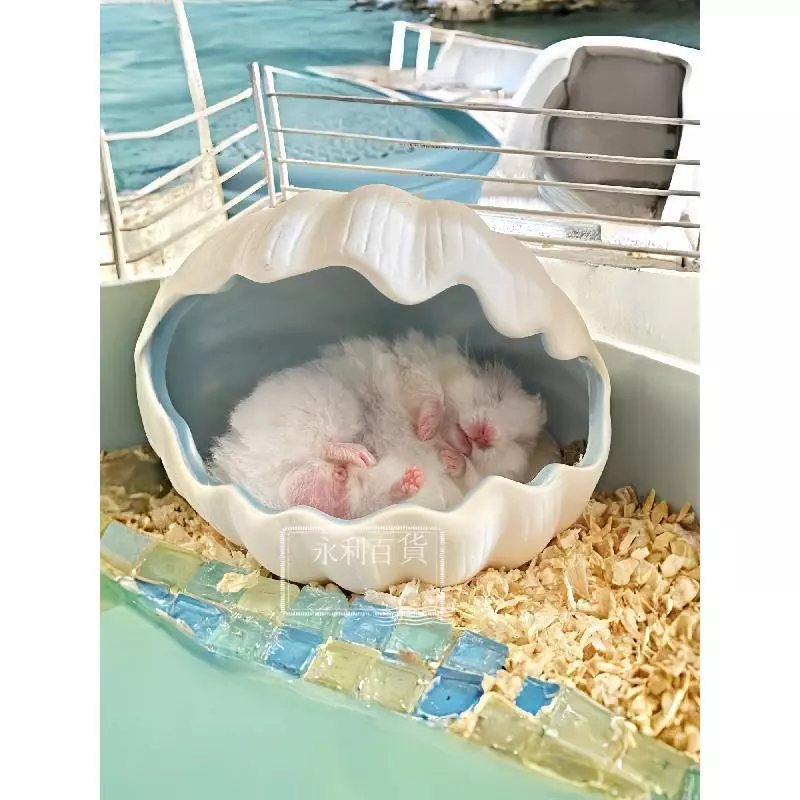貝殼倉鼠躲避屋