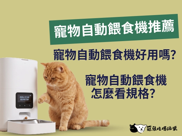 2026自動餵食機推薦