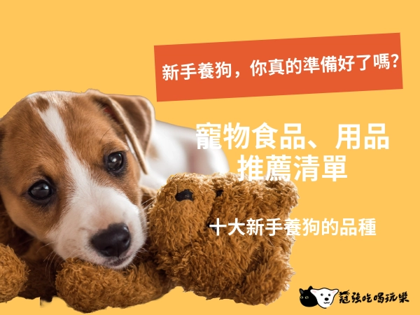 新手養狗，你真的準備好了嗎？推薦清單幫你節省時間
