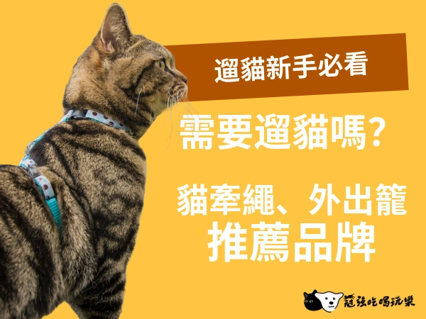遛貓新手必看｜為什麼不遛貓？貓牽繩與外出籠推薦