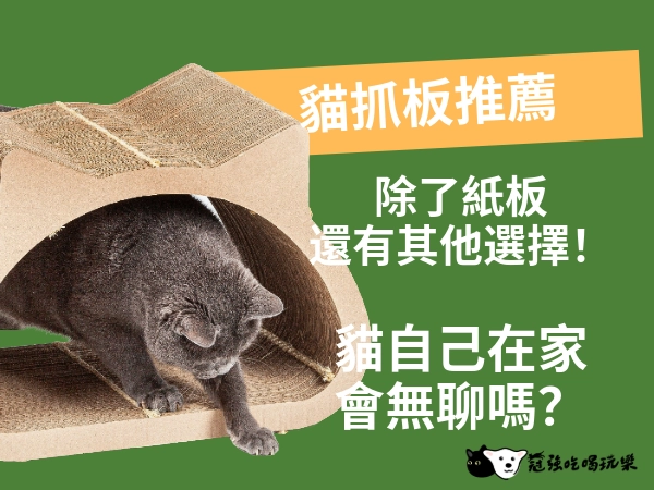 貓抓板推薦｜除了紙板還有其他選擇！貓自己在家會無聊嗎？