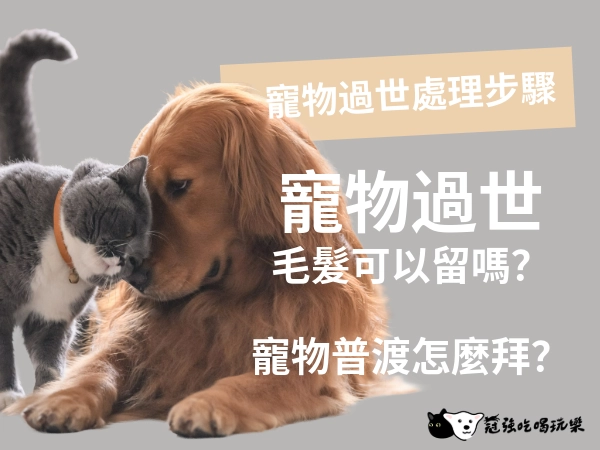 寵物過世處理步驟｜寵物過世毛髮可以留嗎？寵物普渡怎麼拜？
