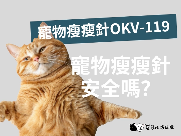 寵物瘦瘦針OKV-119來了！寵物瘦瘦針安全嗎？瘦瘦針外有其他辦法減肥！