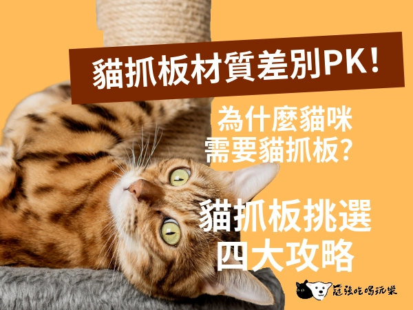 貓抓板材質差別PK！為什麼貓咪需要貓抓板？貓抓板如何挑選的四大攻略