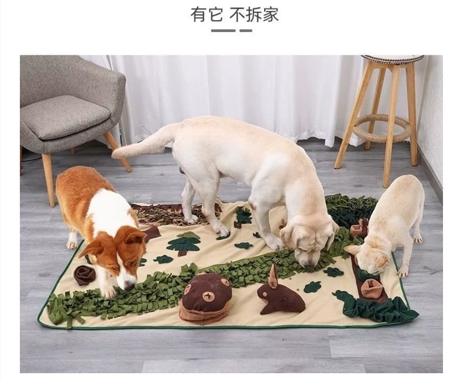 寵物嗅聞墊｜益智藏食寵物玩具