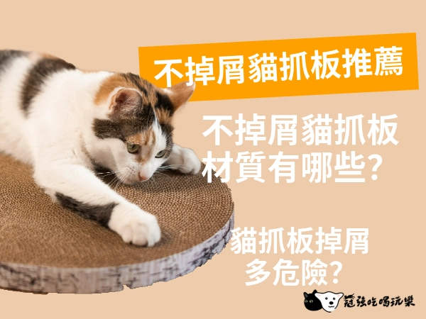 不掉屑貓抓板推薦｜不掉屑貓抓板材質有哪些？貓抓板掉屑有多危險？