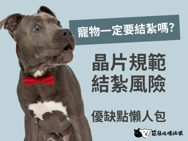 如果狗狗會說話：牠會選結紮嗎？晶片規範與結紮風險、如何挑選風險低、更安心的寵物醫院？