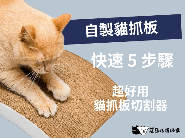教你 5 步驟快速自製貓抓板！超好用的貓抓板切割器