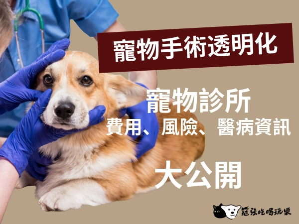 寵物診所手術透明化懶人包：費用、風險與醫病資訊公開的重要性！