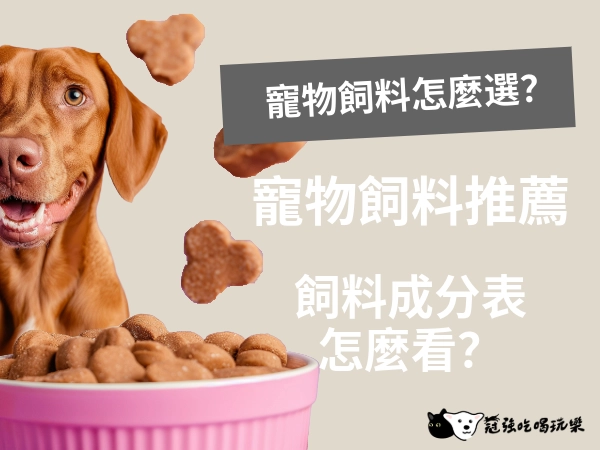 寵物飼料怎麼選？營養成分怎麼看？貓狗飼料最新推薦品牌