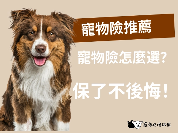 寵物險推薦，保了不後悔。寵物險怎麼選？搞懂保障內容才不會白繳寵物險保費
