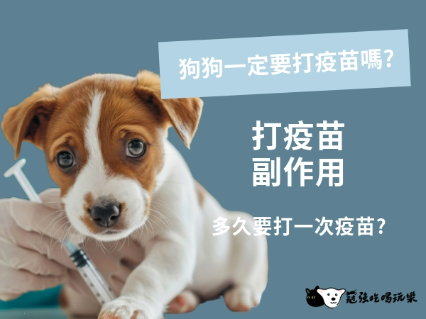 這篇收藏起來！2025 年狗狗疫苗一生攻略，疫苗種類、價格與施打時間