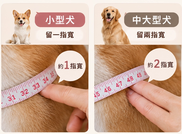 狗狗胸背帶尺寸量法：留一指至兩指的理想空間／冠強吃喝玩樂